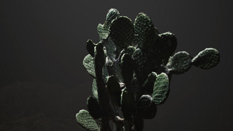 Imatge de No mercy in Mexico