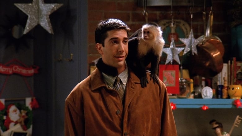 The One with the Monkey