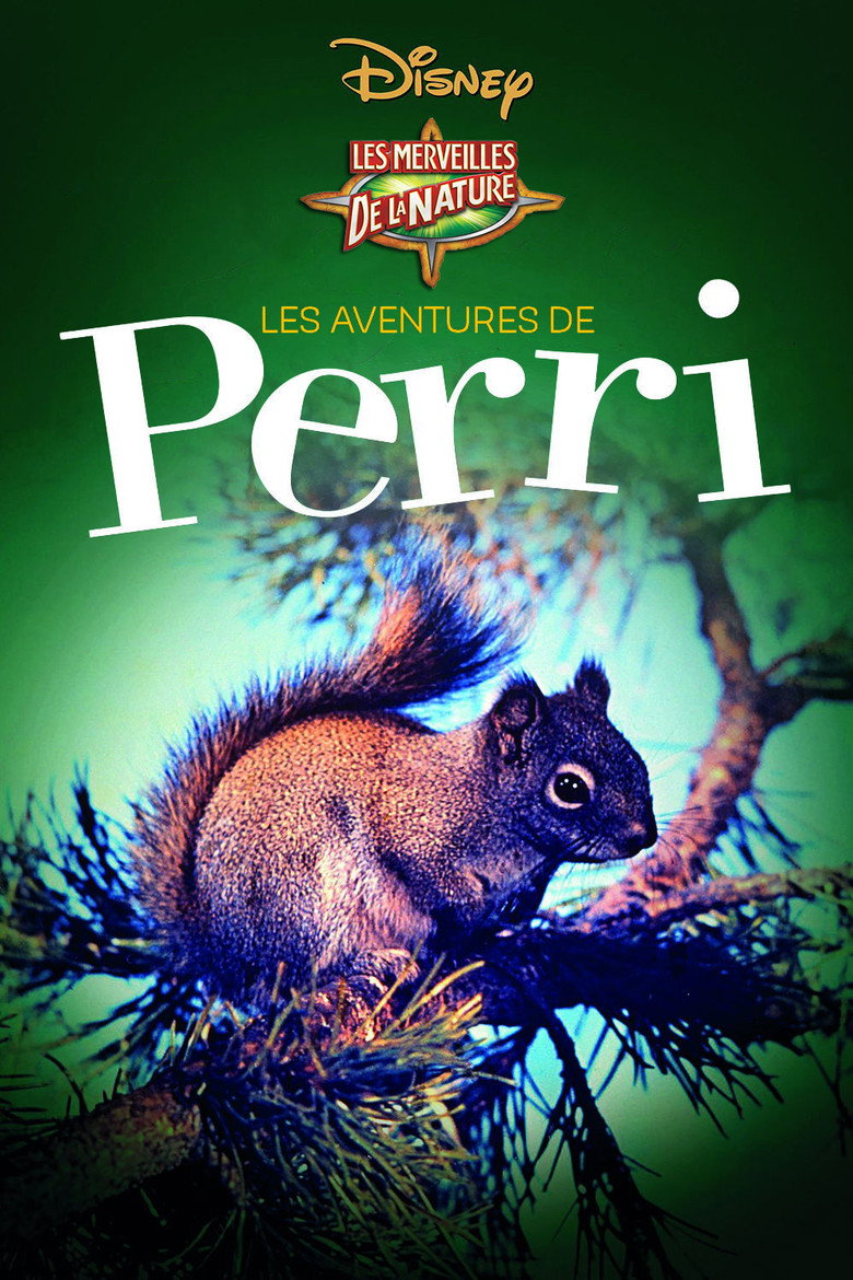 Póster la Película