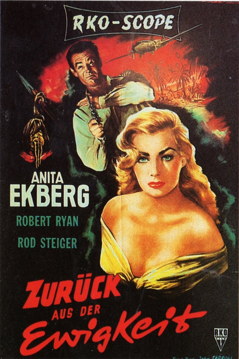 Zurück aus der Ewigkeit poster