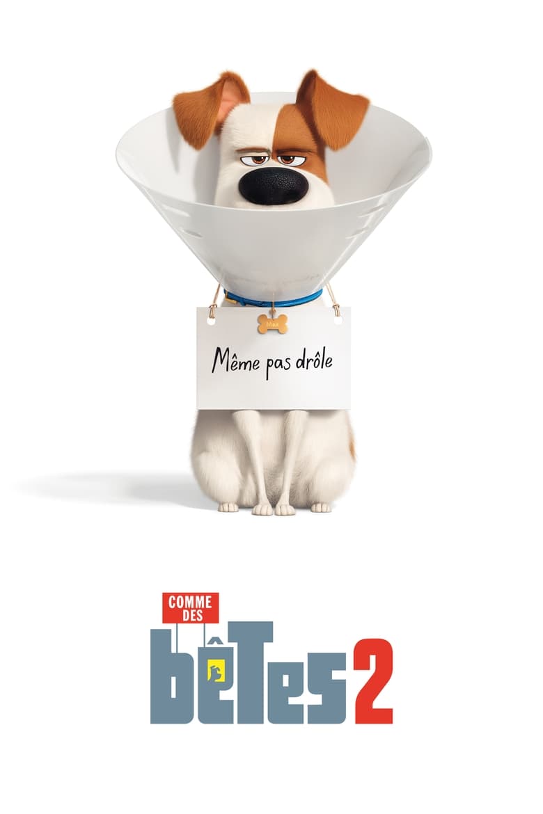 Póster la Película