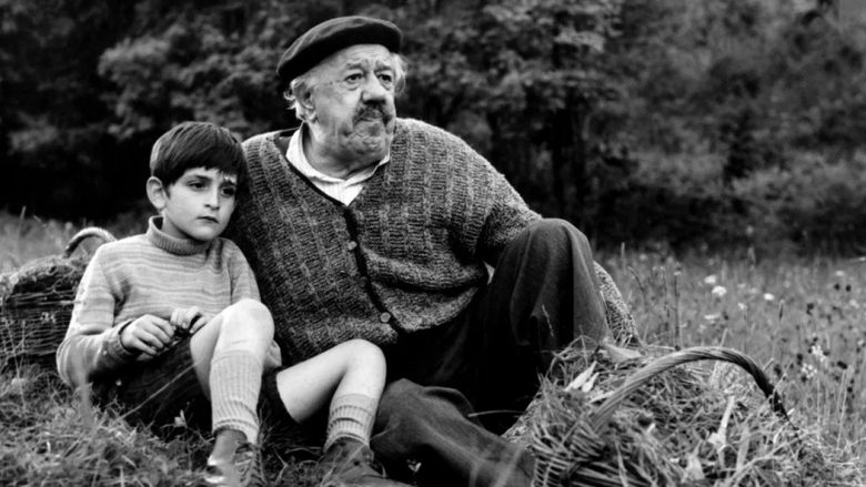 Le vieil homme et l'enfant streaming sur 66 Voir Film complet