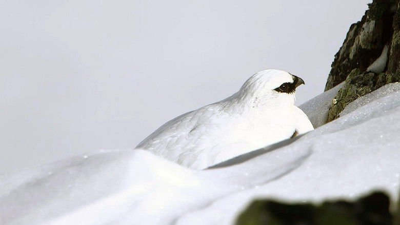 Gallery image from ulERHBPNDye1Ha6DRIJHXViRCXv.jpg