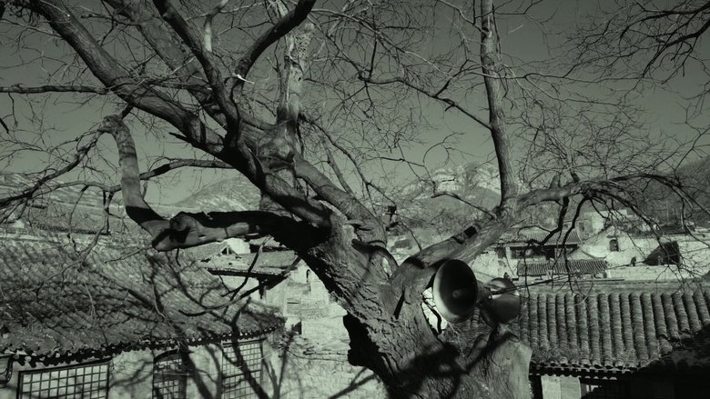 Gallery image from ulP6TbwOCRPOqcmLXLOkJixLCr6.jpg