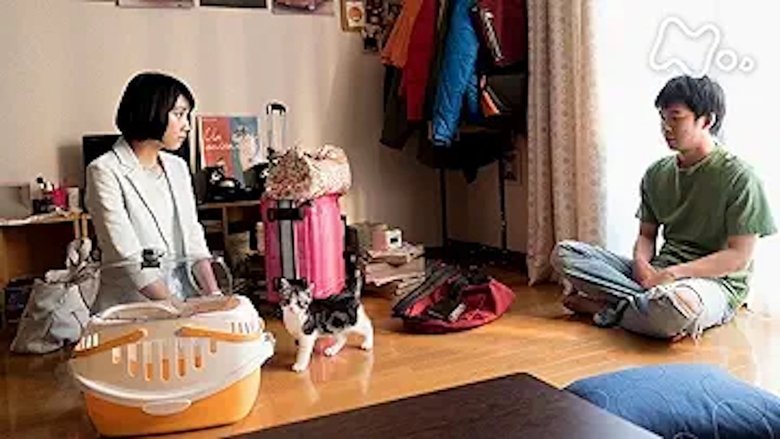 Still image for Blanket Cats season 1 episode 5: Episode 5 Still image for Blanket Cats season 1 episode 5: Episode 5