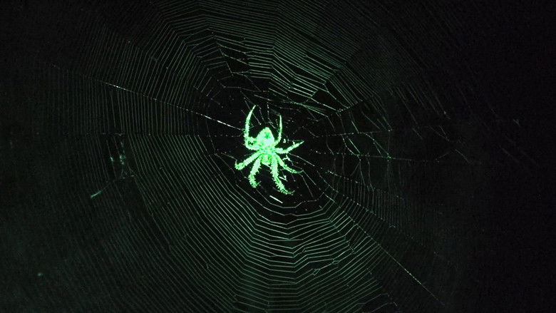 Gallery image from um7DCqpmwserYkNmkk39RGKB8GJ.jpg