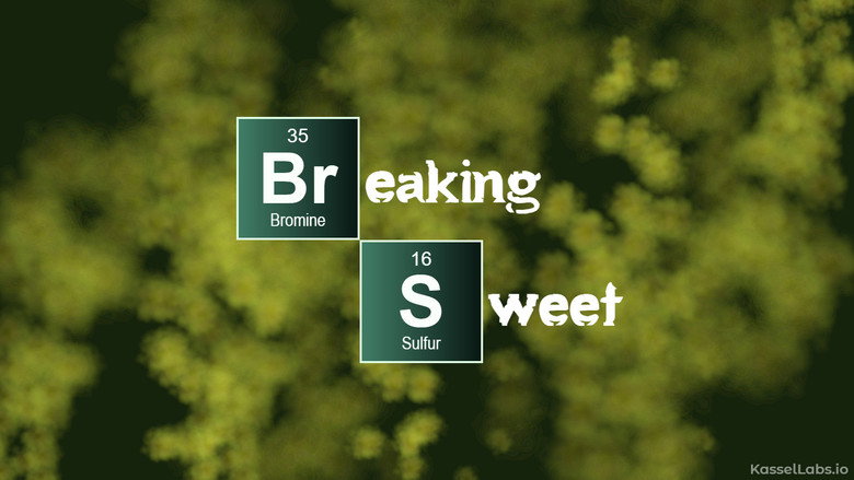 Imatge de Breaking Sweet