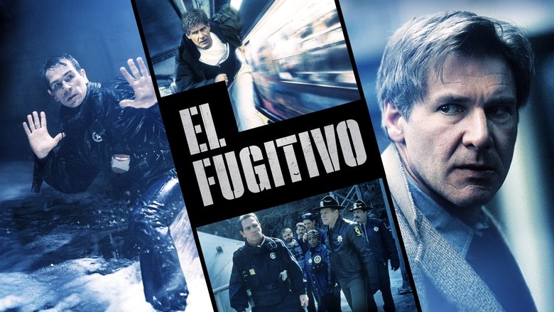 El fugitivo (1993)