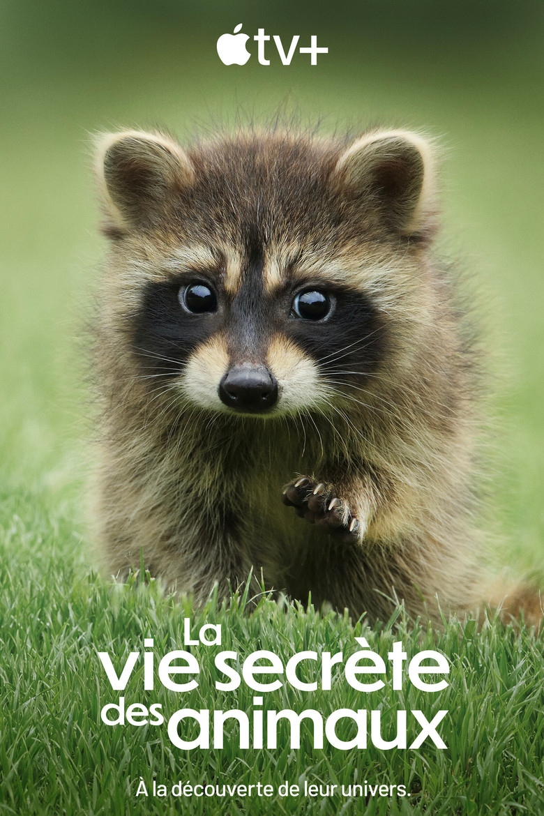 Póster la Serie