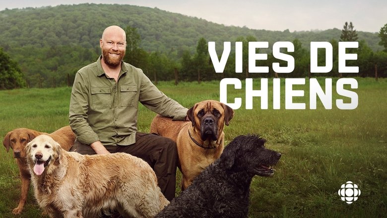 Gallery image from un1UhWTmmNBu4NAHDKsDB7pyiB9.jpg