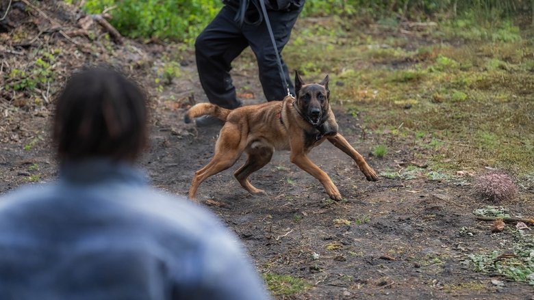 Still image for Loups Garous season 1 episode 7: Episode 7 Still image for Loups Garous season 1 episode 7: Episode 7