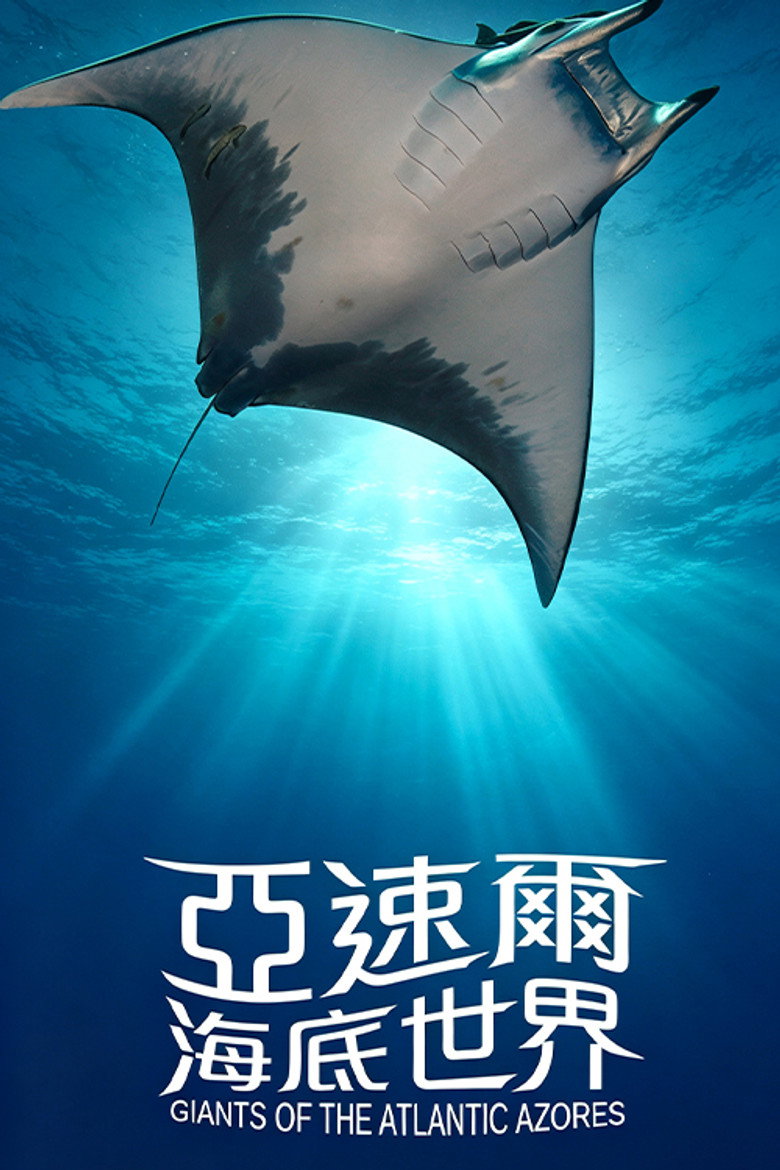 亚速尔海底世界