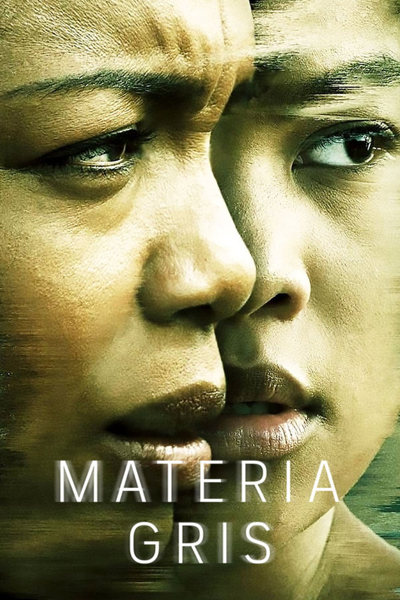 Póster la Película