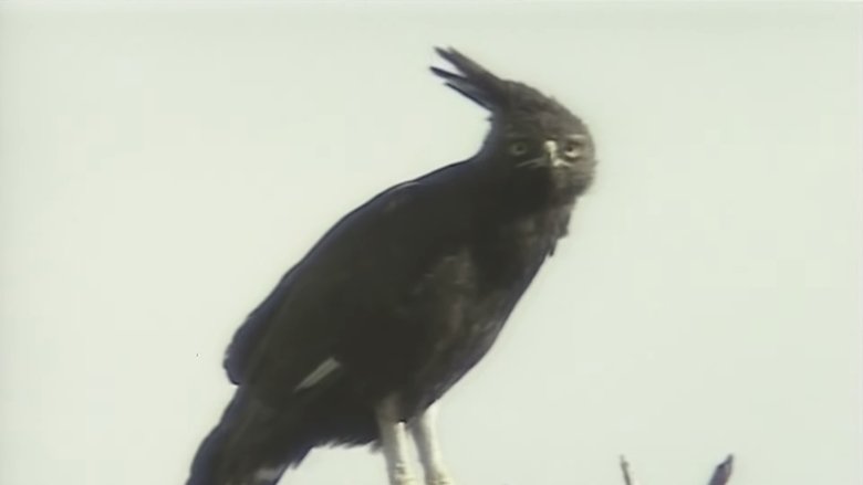 Gallery image from upLKivjbcPDsKq6VryhYmzDoMiR.jpg