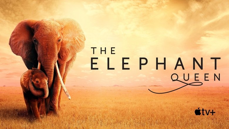 The Elephant Queen (2019)