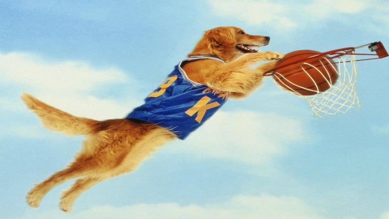 Regarder Air Bud : Buddy star des paniers complet