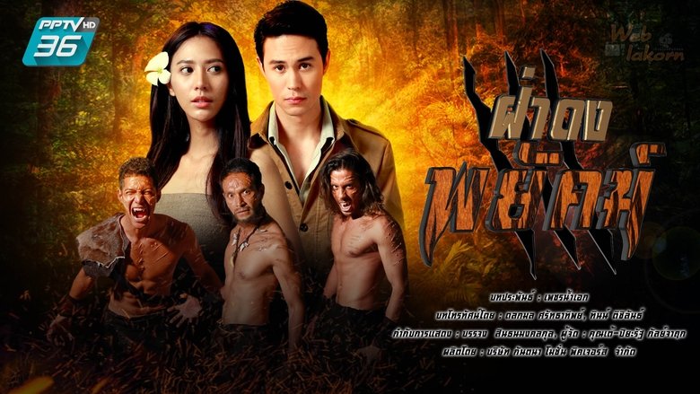 ฝ่าดงพยัคฆ์ backdrop