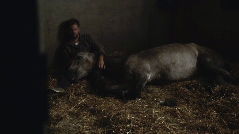 Hermano Caballo