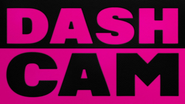 Dashcam image 11