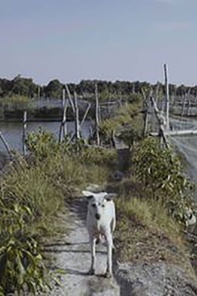 Imatge de Nowhere Near