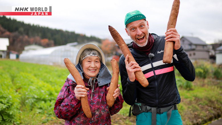 Akita: The Wisdom of Nature