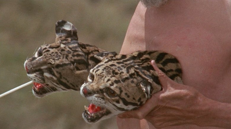 The Holy Mountain (1973)