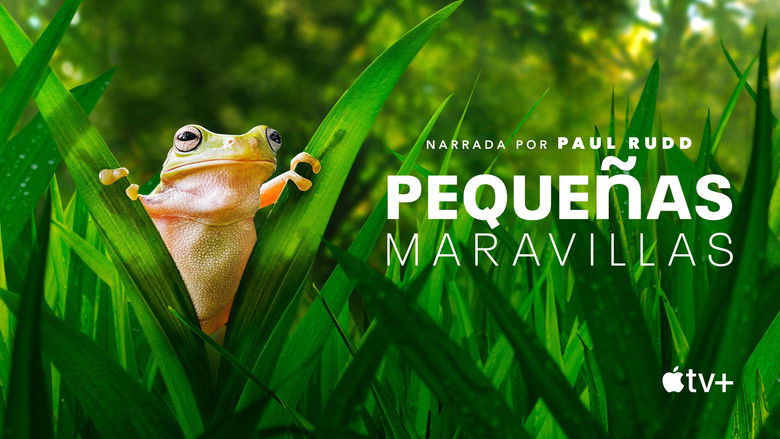 Gallery image from utpajtcKrIzx9GOzjifHsHGW1Y8.jpg