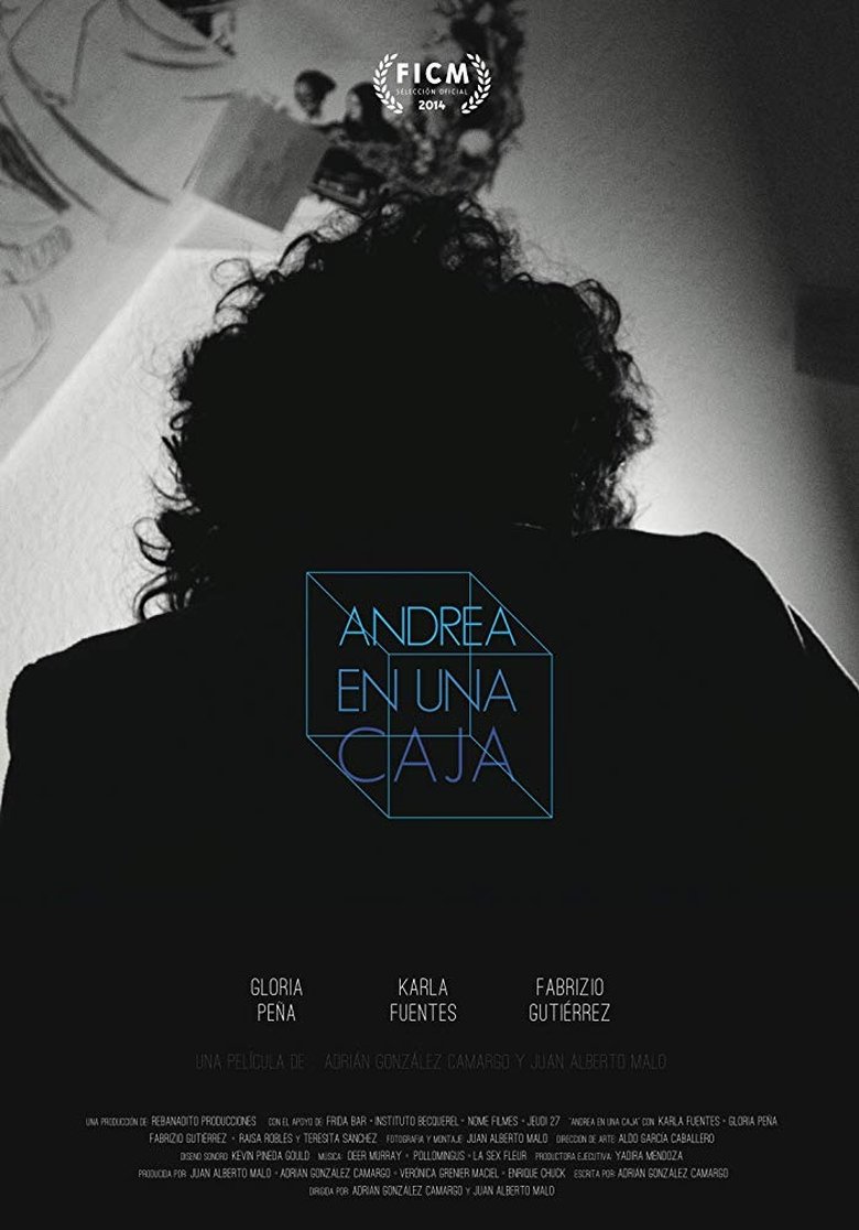 Andrea en una caja main poster