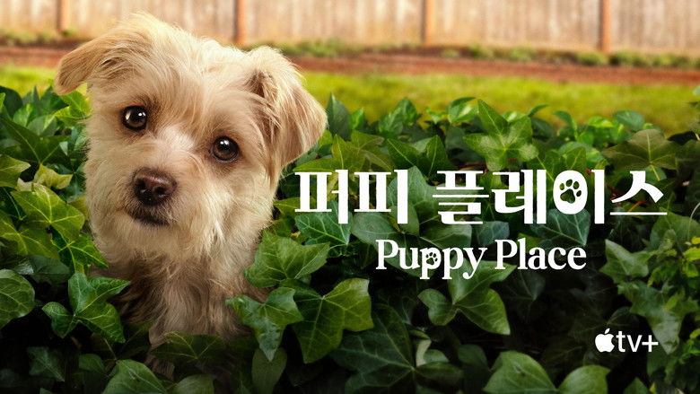 Gallery image from uvHqOtKj8Qshbced971PAjMOm9a.jpg