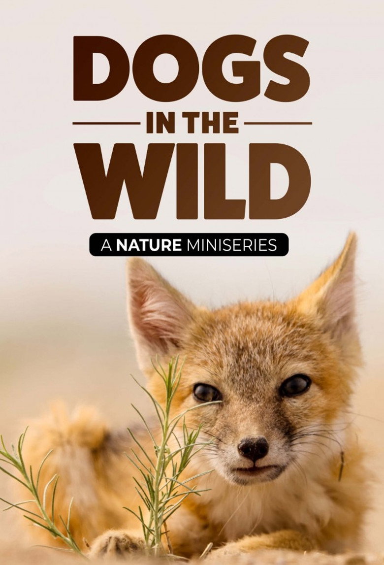 Official poster for Dogs in the Wild