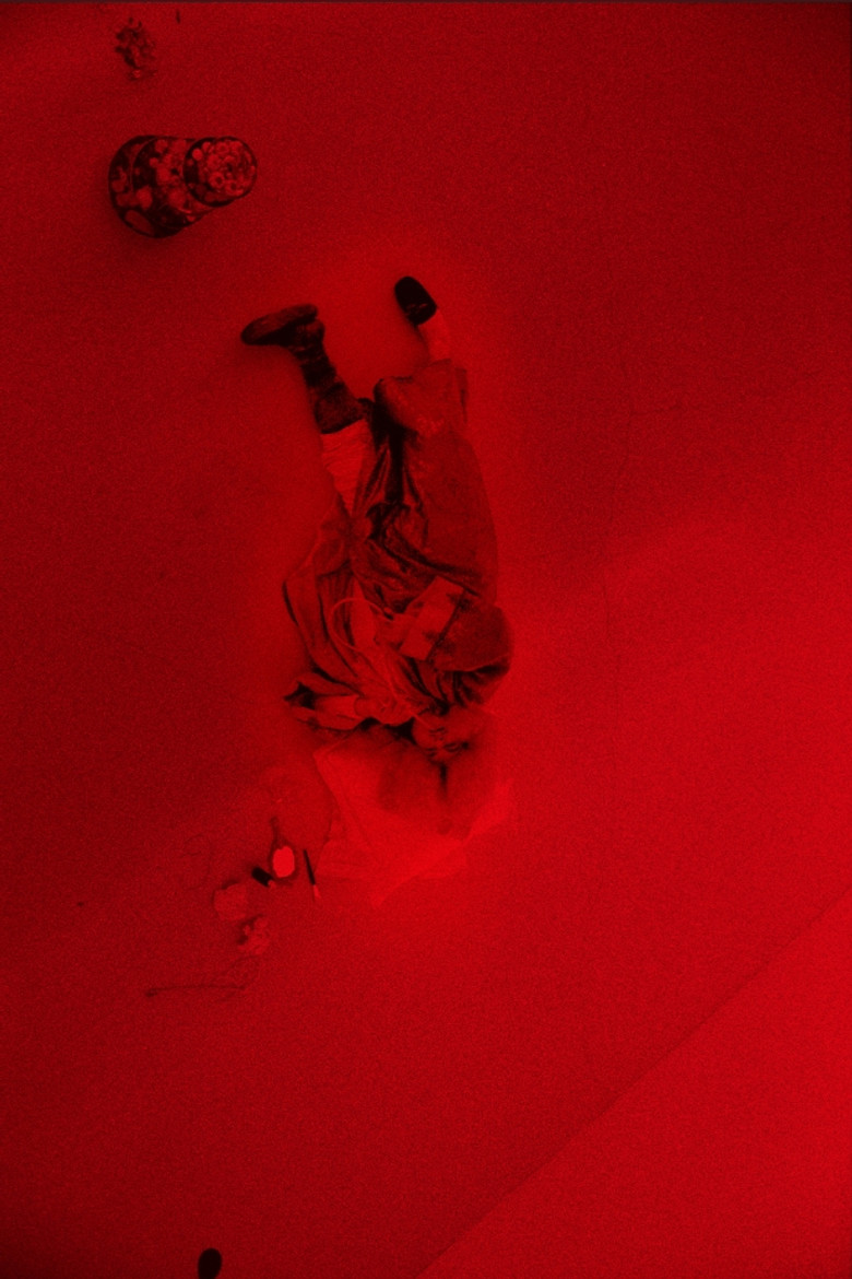 Imatge de Roi Soleil