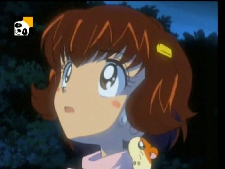 Still image for Hamtaro season 1 episode 57: Ghost Mountain! Still image for Hamtaro season 1 episode 57: Ghost Mountain!