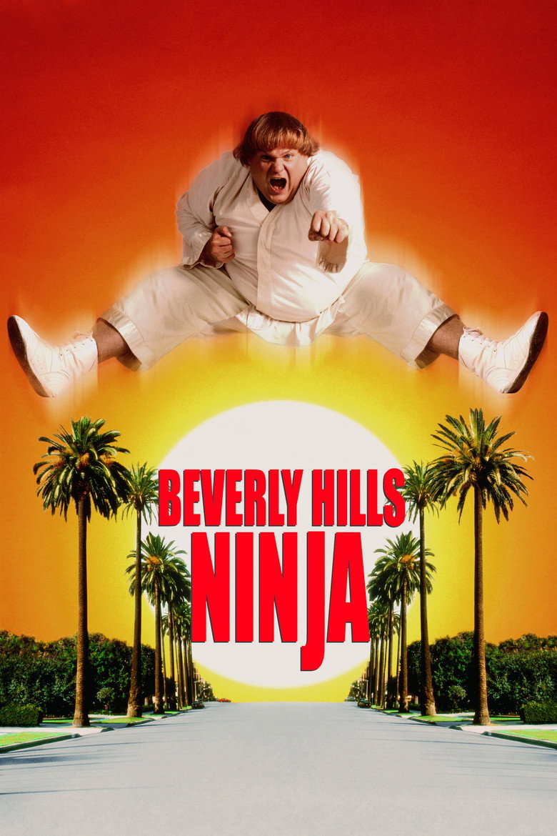 Póster la Película