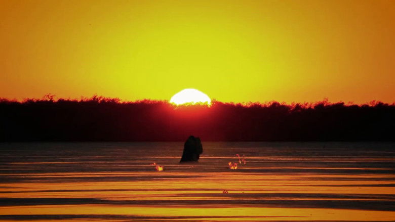 Gallery image from uxIZnpLgF9n3cNvHDVSrWbIjE7r.jpg