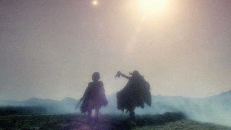 Film backdrop
