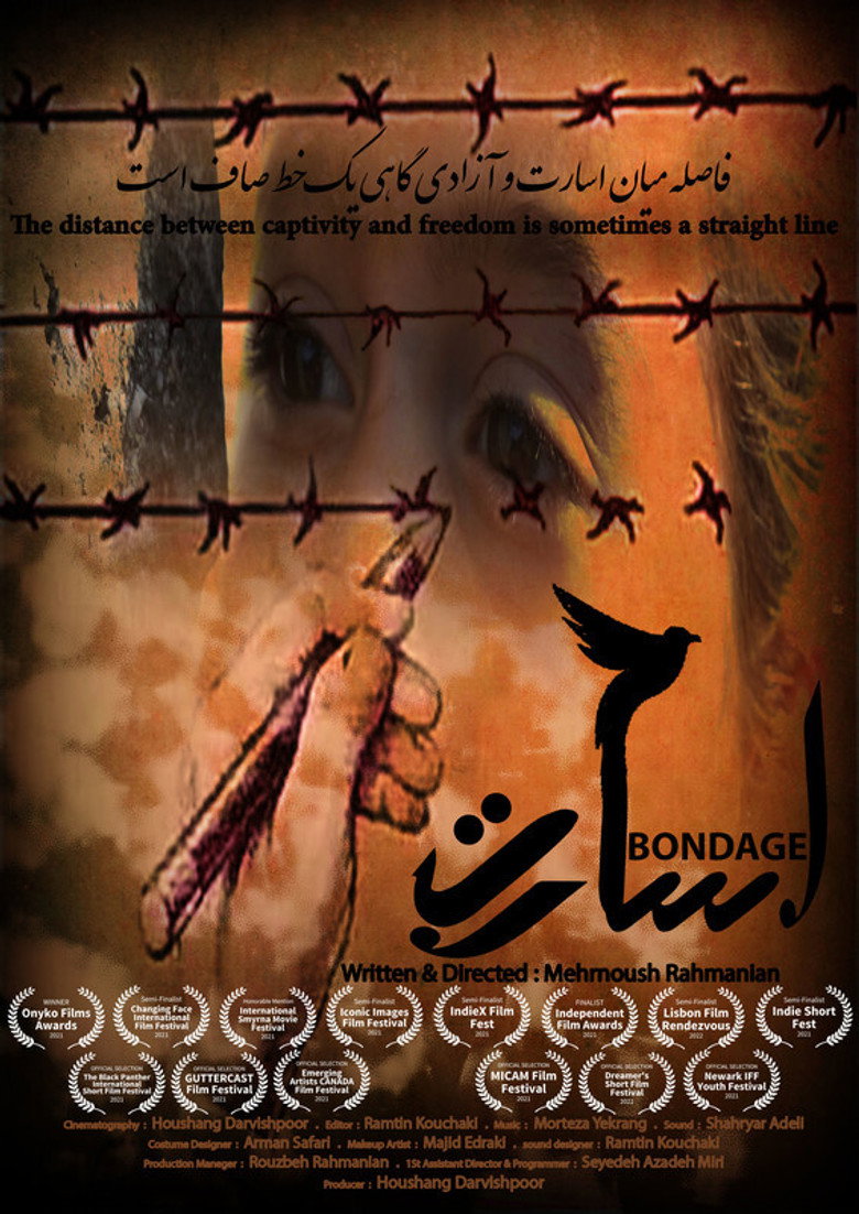 Affiche ou illustration — Captivity