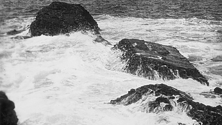 Gallery image from v0lYsXOlLpY1BqVNvDnjqfPwxTF.jpg