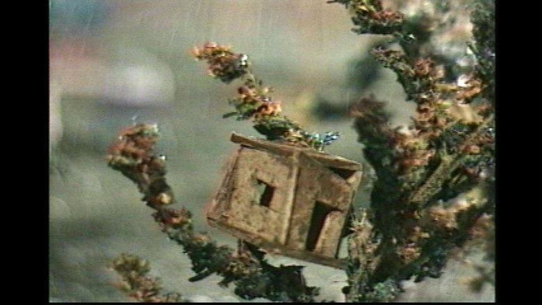 Gallery image from v1cdd2RYvxemLzqDZZXph0ZwTmY.jpg