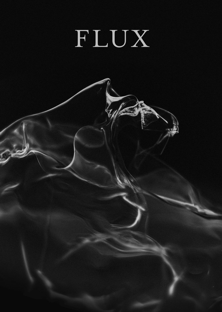 Flux main poster