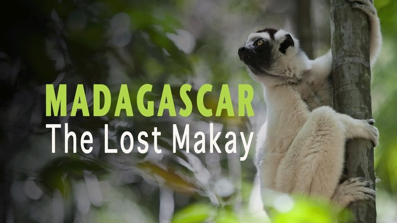 Madagascar: The Lost Makay movie poster