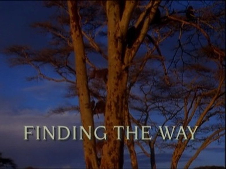 Still from Trials of Life - Mùa 1 Tập 5