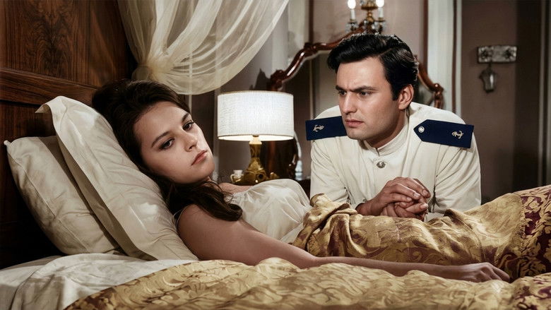 Gallery image from v3riExoyIsXMAKsrALn4KPw5JNB.jpg