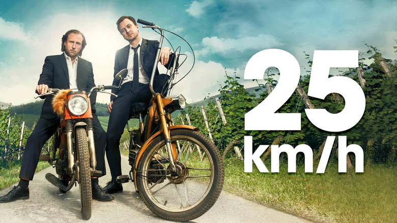 25 km/h