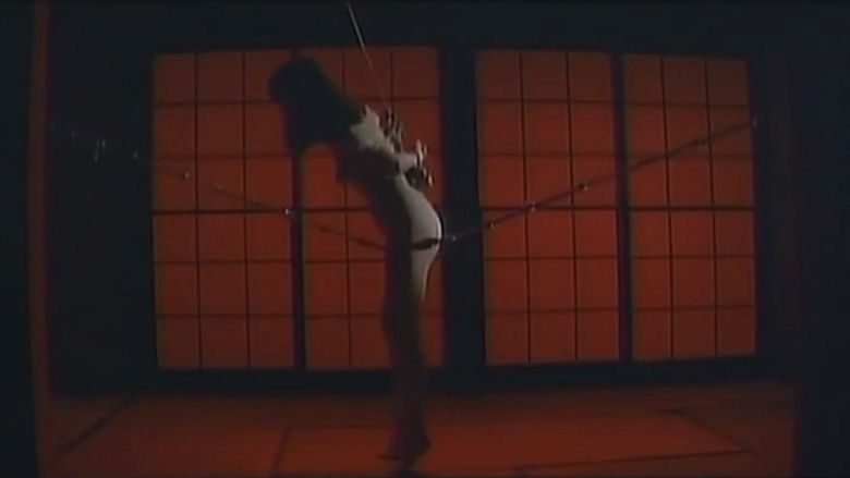 Gallery image from v4OaI1kkbPiFjjZ9UzuVsokKhac.jpg