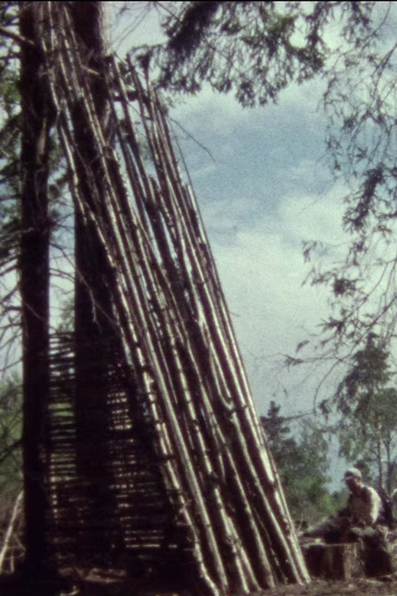 Lumber background