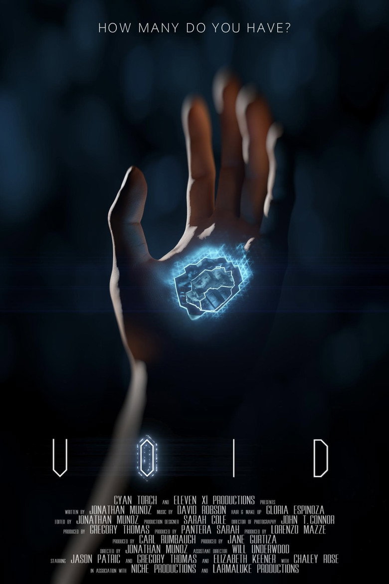 Void poster
