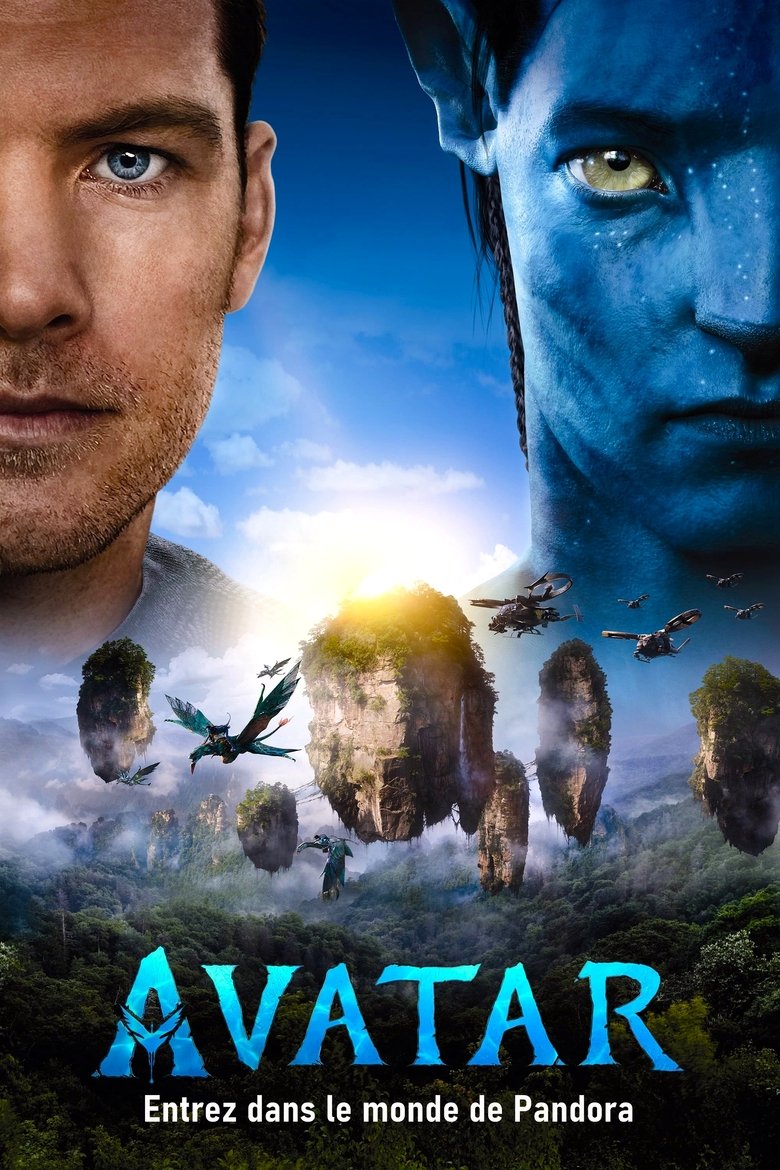 Poster du film Avatar
