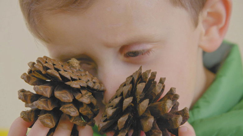 Still image for Pablo season 1 episode 50: Captain Pinecone