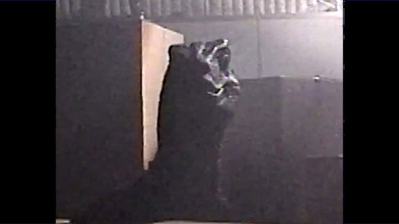 Imatge de Quarantine Pen Escape