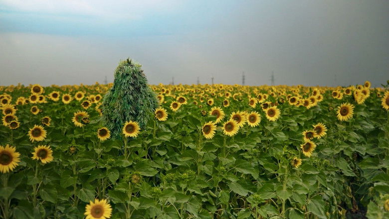 Gallery image from v5zCrCXwvAPjVvRbLRdorIfzTEi.jpg